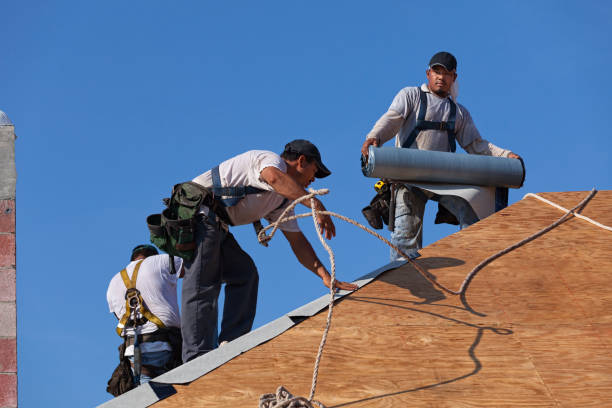 Best Emergency Roof Repair  in Double Springs, AL