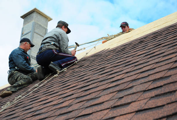 Best Gutter Installation and Roofing  in Double Springs, AL