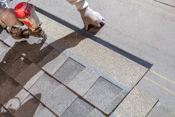Best Roof Repair Services  in Double Springs, AL